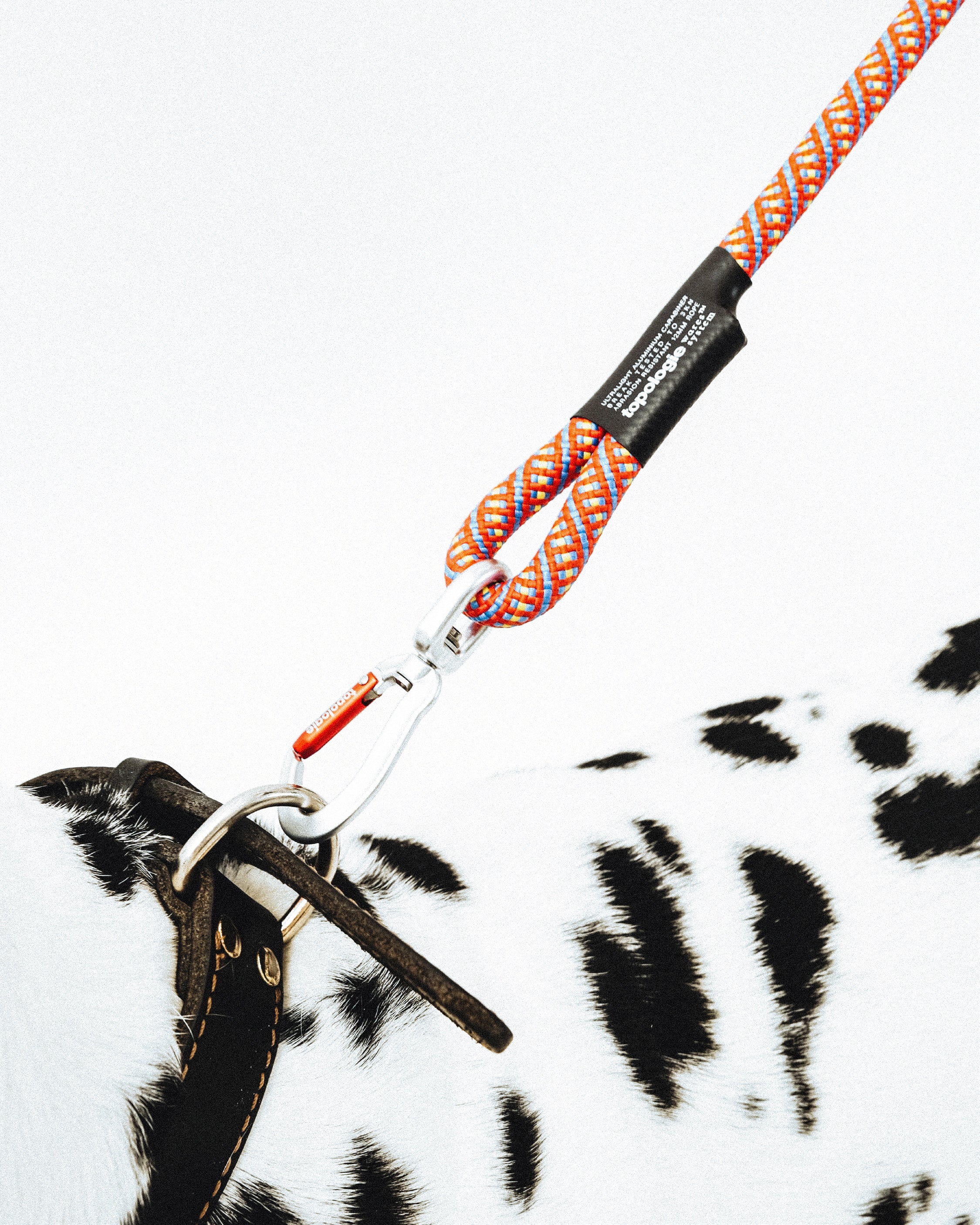 12mm Leash