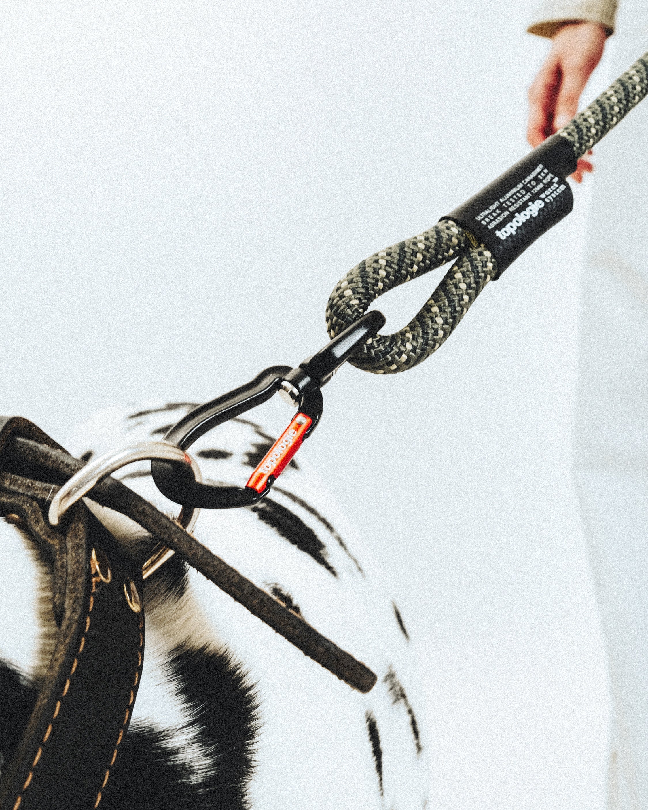 12mm Utility Leash